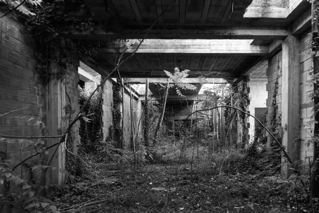 project 6 piscina/inside6 Picture