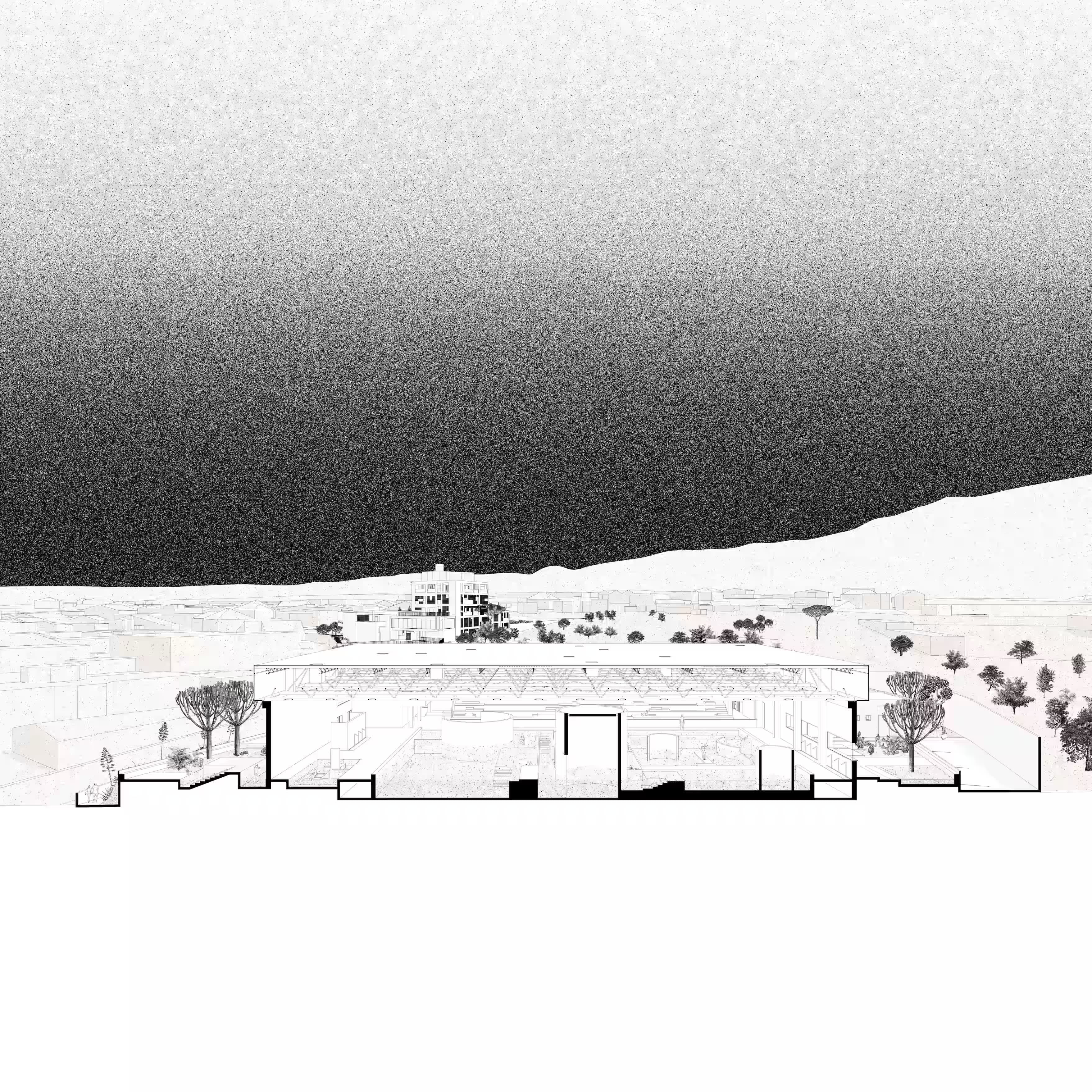 project 6 termesezione Picture
