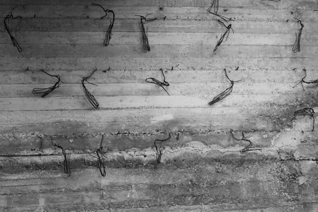 project 6 salone/wall Picture